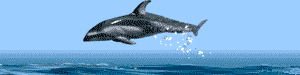 Watersports