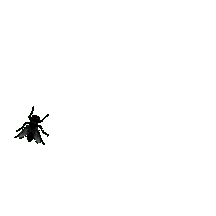 Fly GIF