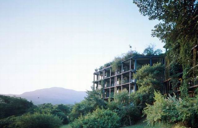 The hotel blends into the surrounding vegetation